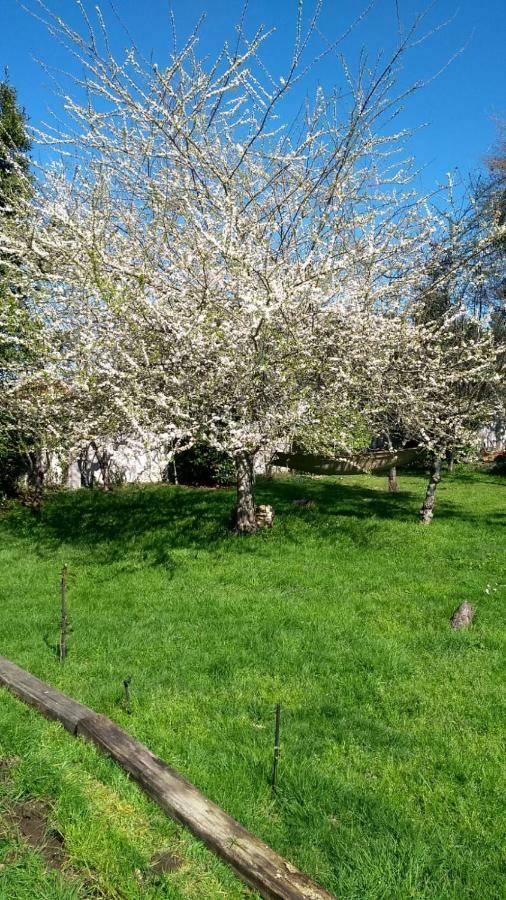 Twin Pines Camino Norte Арсуа Экстерьер фото